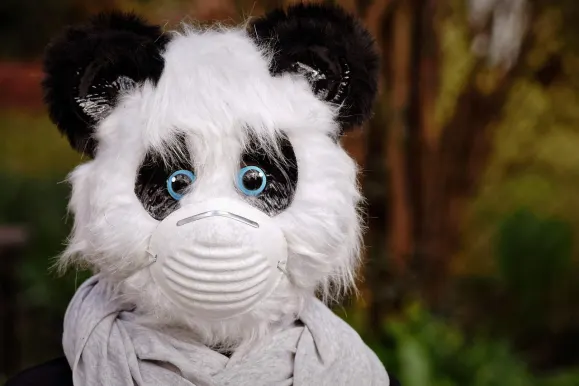 Bitcoza Casino Stuðningur